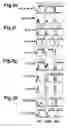 Fig. 06 - Generation of neural stem cells from human trophoblast stem cells