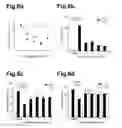 Fig. 11 - Generation of neural stem cells from human trophoblast stem cells