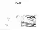 Fig. 16 - Generation of neural stem cells from human trophoblast stem cells