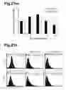 Fig. 33 - Generation of neural stem cells from human trophoblast stem cells