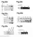 Fig. 34 - Generation of neural stem cells from human trophoblast stem cells