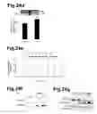 Fig. 38 - Generation of neural stem cells from human trophoblast stem cells