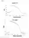 Fig. 07 - Cardiomyocyte maturation