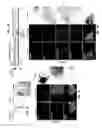 Fig. 02 - Reprogramming of cells to a new fate