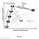 Fig. 14 - Reprogramming of cells to a new fate