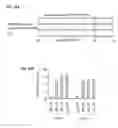 Fig. 17 - Reprogramming of cells to a new fate