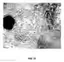 Fig. 30 - Reprogramming of cells to a new fate