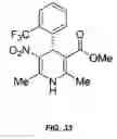Fig. 40 - Reprogramming of cells to a new fate