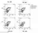 Fig. 42 - Reprogramming of cells to a new fate