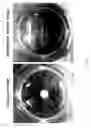 Fig. 07 - METHOD FOR PRODUCING TISSUE AND ORGAN