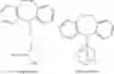Fig. 22 - Biocatalytic process for preparing eslicarbazepine and analogs thereof