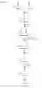 Fig. 02 - Polypeptides for carbon-carbon bond formation and uses thereof