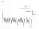 Fig. 43 - Microbial strain improvement by a HTP genomic engineering platform
