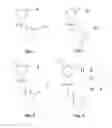 Fig. 03 - SPLICE-REGION ANTISENSE COMPOSITION AND METHOD