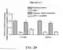 Fig. 06 - Small interfering RNA and pharmaceutical composition and method for inhibiting galectin-12 expression and/or enhancing lipolysis containing the same