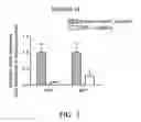 Fig. 08 - Small interfering RNA and pharmaceutical composition and method for inhibiting galectin-12 expression and/or enhancing lipolysis containing the same
