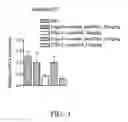 Fig. 09 - Small interfering RNA and pharmaceutical composition and method for inhibiting galectin-12 expression and/or enhancing lipolysis containing the same