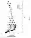 Fig. 06 - Methods and compositions for treating a Serpinc1-associated disorder