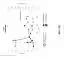 Fig. 14 - Methods and compositions for treating a Serpinc1-associated disorder
