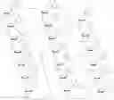 Fig. 05 - Compositions and methods for modulating complement factor B expression