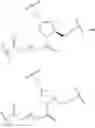 Fig. 58 - Compositions and methods for modulating complement factor B expression