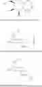 Fig. 87 - Compositions and methods for modulating complement factor B expression