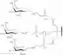 Fig. 97 - Compositions and methods for modulating complement factor B expression