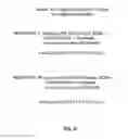 Fig. 46 - COMPOSITIONS AND METHODS FOR MODULATION OF RORGAMMAT FUNCTIONS