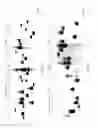 Fig. 03 - Pathogen resistant citrus compositions, organisms, systems, and methods