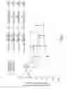 Fig. 03 - RAAV-BASED COMPOSITIONS AND METHODS FOR TREATING ALPHA-1 ANTI-TRYPSIN DEFICIENCIES