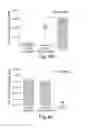 Fig. 11 - RAAV-BASED COMPOSITIONS AND METHODS FOR TREATING ALPHA-1 ANTI-TRYPSIN DEFICIENCIES