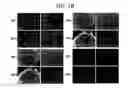 Fig. 19 - Endothelial-targeted Adenoviral Vectors, Methods and Uses Therefor