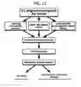 Fig. 25 - Endothelial-targeted Adenoviral Vectors, Methods and Uses Therefor