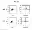 Fig. 41 - Endothelial-targeted Adenoviral Vectors, Methods and Uses Therefor