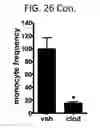 Fig. 42 - Endothelial-targeted Adenoviral Vectors, Methods and Uses Therefor