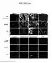 Fig. 50 - Endothelial-targeted Adenoviral Vectors, Methods and Uses Therefor