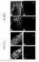 Fig. 55 - Endothelial-targeted Adenoviral Vectors, Methods and Uses Therefor