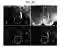 Fig. 60 - Endothelial-targeted Adenoviral Vectors, Methods and Uses Therefor