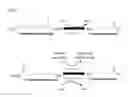 Fig. 04 - METHODS AND MATERIALS FOR PRODUCING 7-CARBON MONOMERS