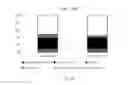Fig. 15 - Arginine supplementation to improve efficiency in gas fermenting acetogens
