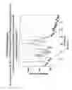 Fig. 06 - Processes for the preparation of (R)-2-(7-(4-cyclopentyl-3-(trifluoromethyl)benzyloxy)-1,2,3,4-tetrahydrocyclopenta[B]indol-3-yl)acetic acid and salts thereof