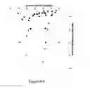 Fig. 10 - CELL FREE TRANSLATION SYSTEM FOR COMPOUND SCREENING AND RELATED USES