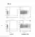 Fig. 06 - COMPOSITIONS AND METHOD FOR IDENTIFYING ENZYME AND TRANSPORT PROTEIN INHIBITORS