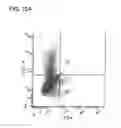 Fig. 17 - COMPOSITIONS AND METHOD FOR IDENTIFYING ENZYME AND TRANSPORT PROTEIN INHIBITORS