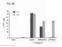 Fig. 31 - COMPOSITIONS AND METHOD FOR IDENTIFYING ENZYME AND TRANSPORT PROTEIN INHIBITORS