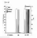 Fig. 35 - COMPOSITIONS AND METHOD FOR IDENTIFYING ENZYME AND TRANSPORT PROTEIN INHIBITORS