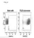 Fig. 42 - COMPOSITIONS AND METHOD FOR IDENTIFYING ENZYME AND TRANSPORT PROTEIN INHIBITORS