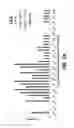 Fig. 09 - METHODS AND COMPOSITIONS FOR ASSAYING THE ACTIVITY OF ONE OR MORE LYSOSOMAL ENZYMES