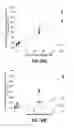 Fig. 12 - METHODS AND COMPOSITIONS FOR ASSAYING THE ACTIVITY OF ONE OR MORE LYSOSOMAL ENZYMES