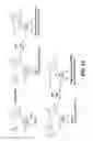 Fig. 37 - METHODS AND COMPOSITIONS FOR ASSAYING THE ACTIVITY OF ONE OR MORE LYSOSOMAL ENZYMES